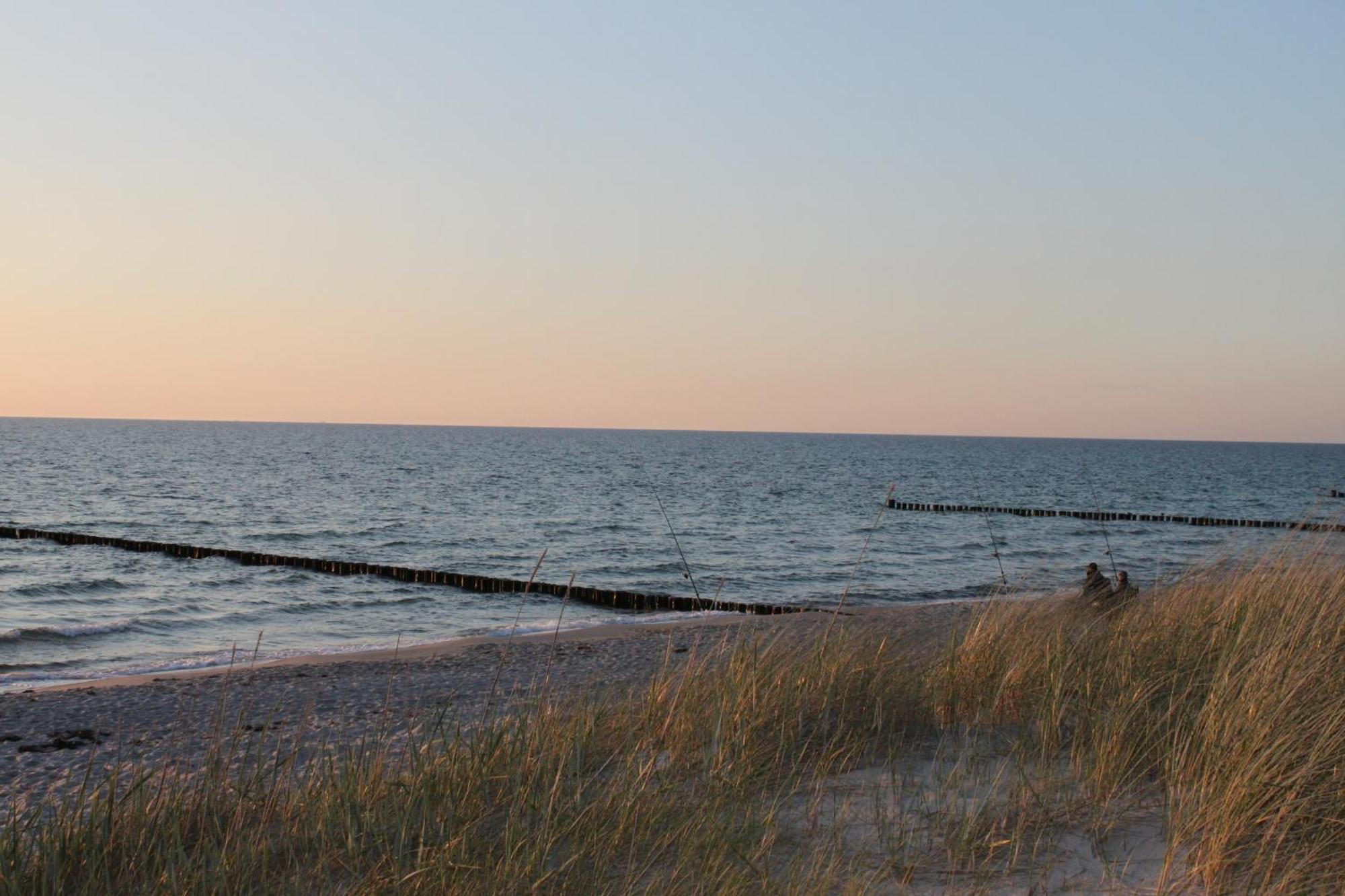 -"Strandhaus Friedrich"- Dierhagen Eksteriør bilde