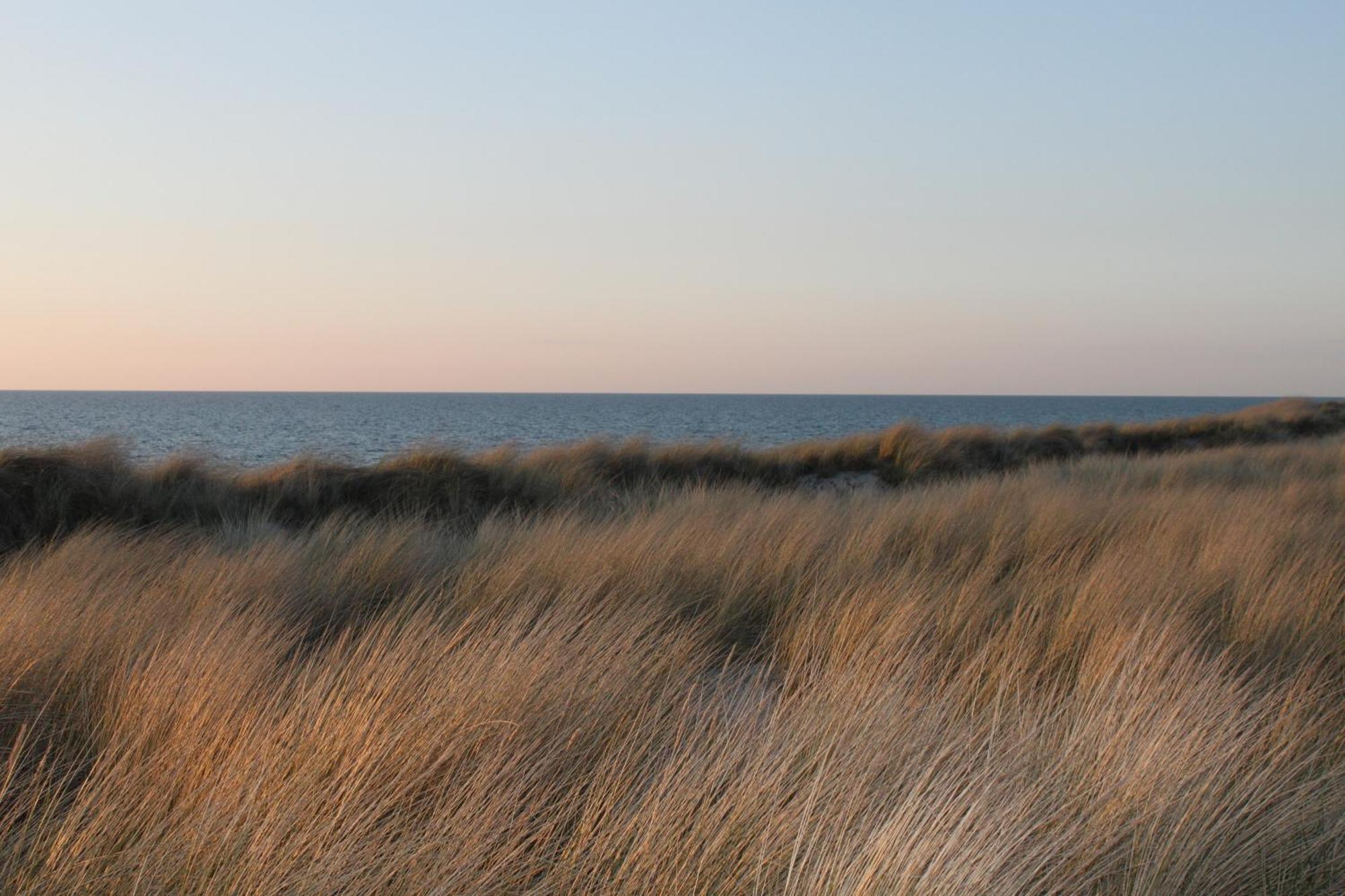 -"Strandhaus Friedrich"- Dierhagen Eksteriør bilde