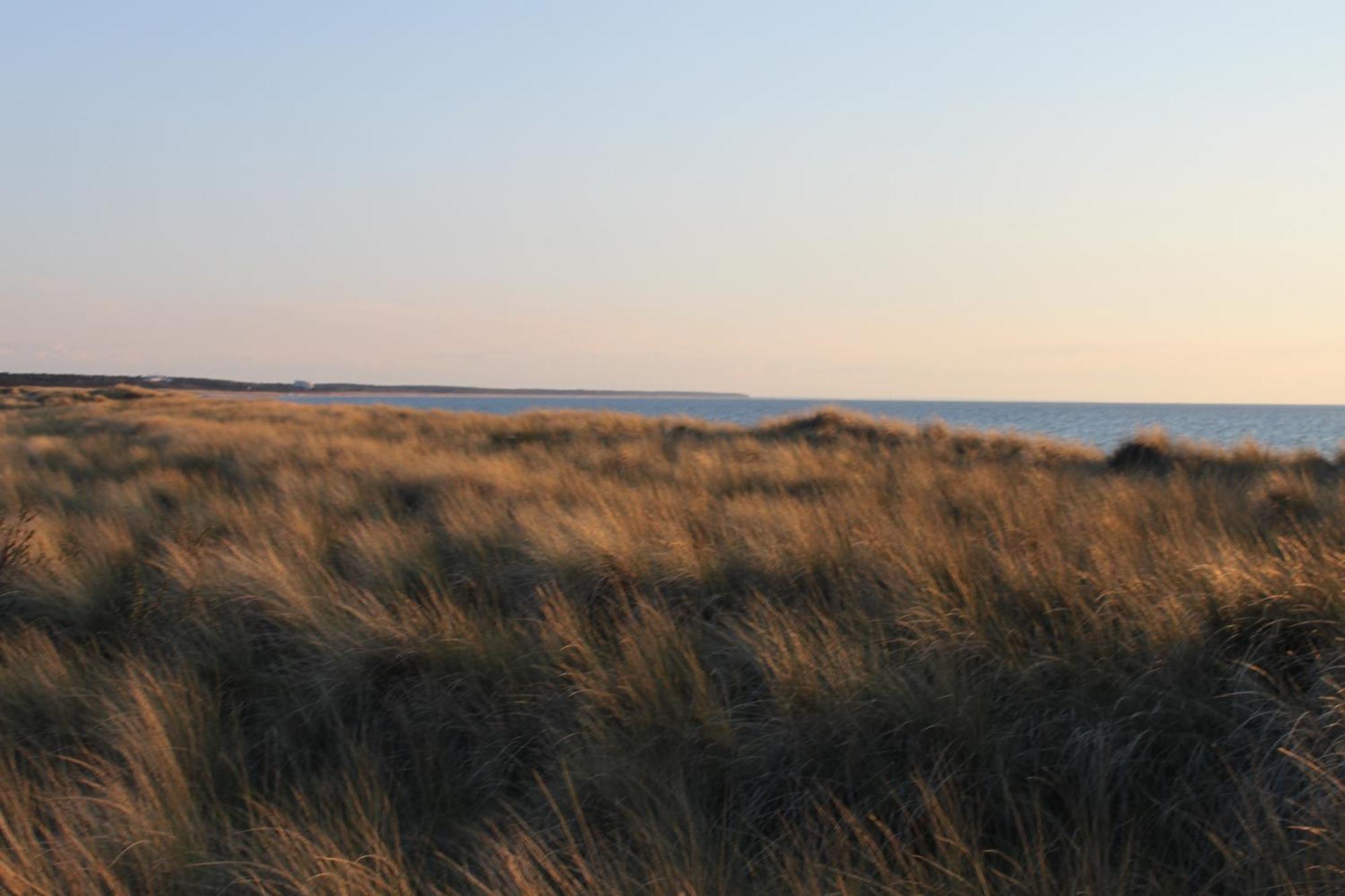 -"Strandhaus Friedrich"- Dierhagen Eksteriør bilde